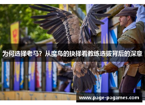 为何选择老马？从魔鸟的抉择看教练选拔背后的深意