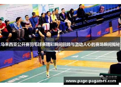 马来西亚公开赛羽毛球赛精彩瞬间回顾与激动人心的赛场瞬间揭秘